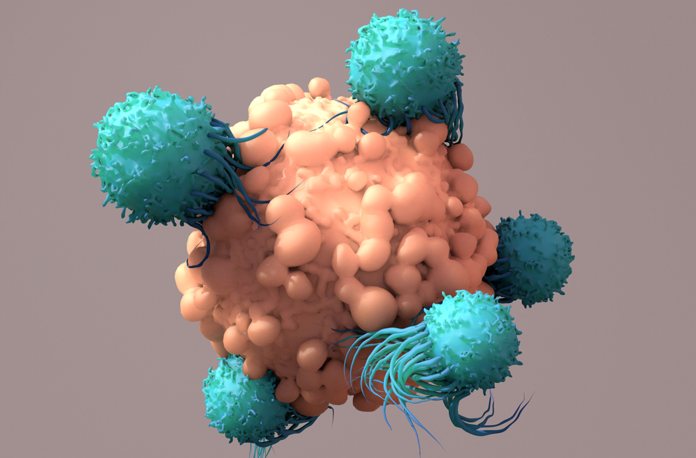 A digital illustration of T cells
